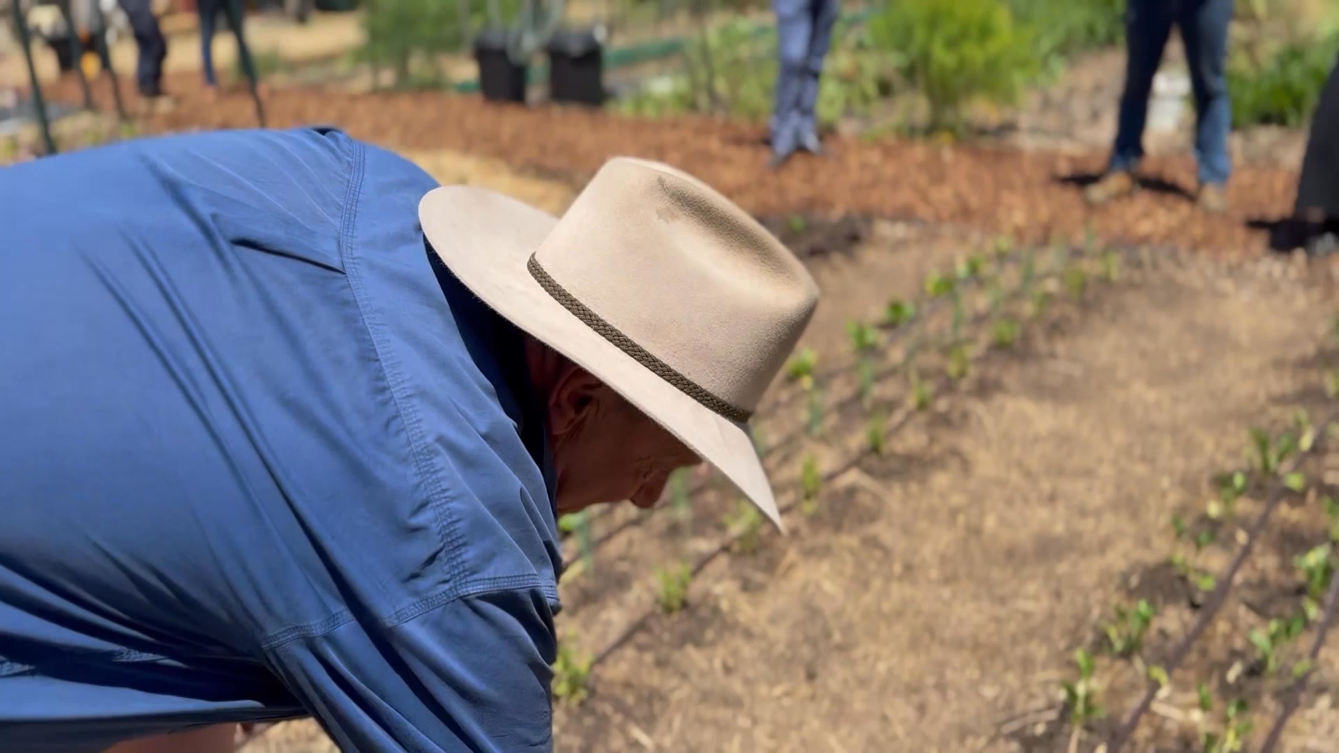 🌱 We’re proud to announce VIVAs 3 Veg Farm 🌱 Vivability is excited to ...
