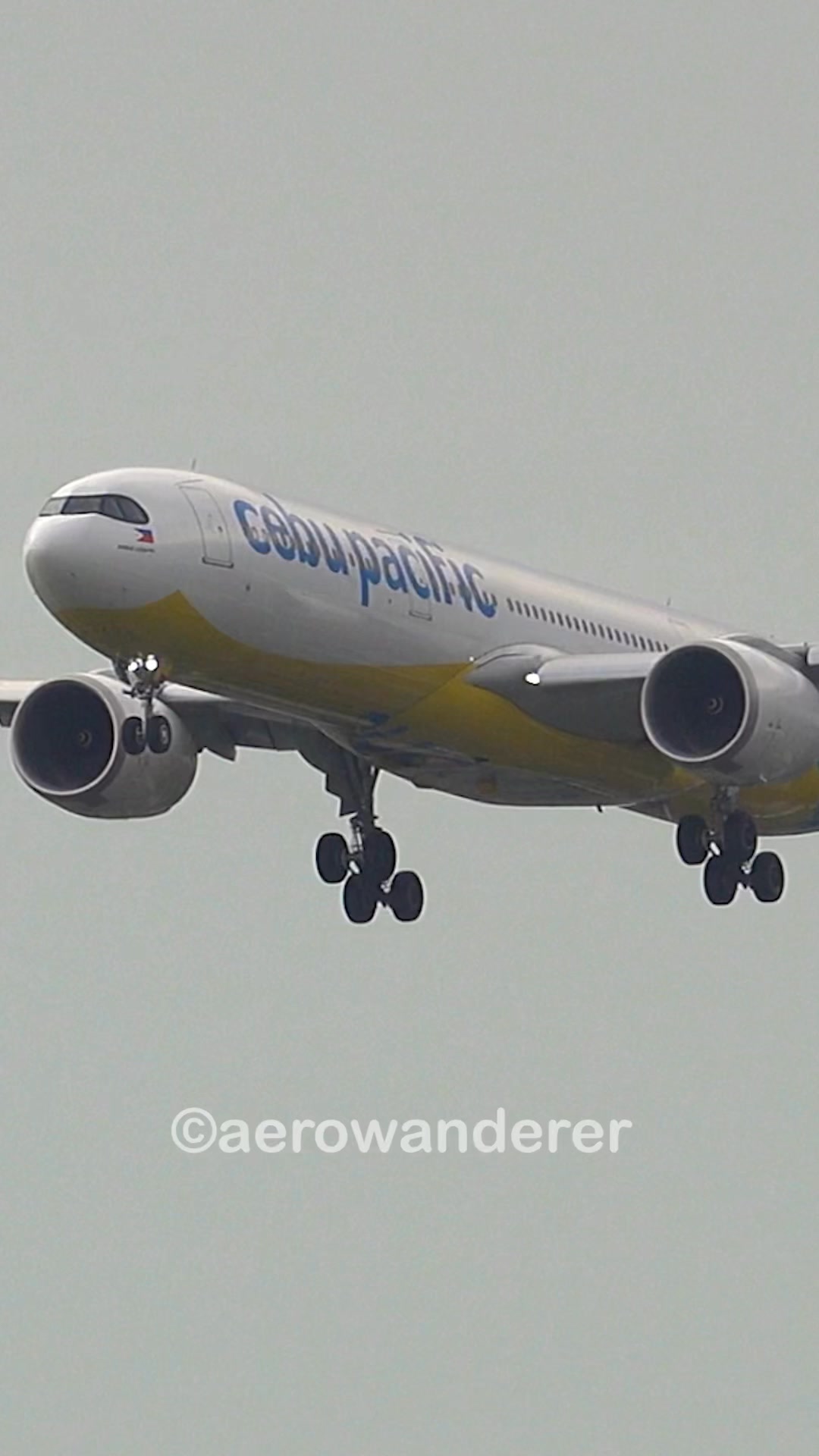 CEBU PACIFIC🇵🇭A330-900 The world's densest A330Neo of Cebu