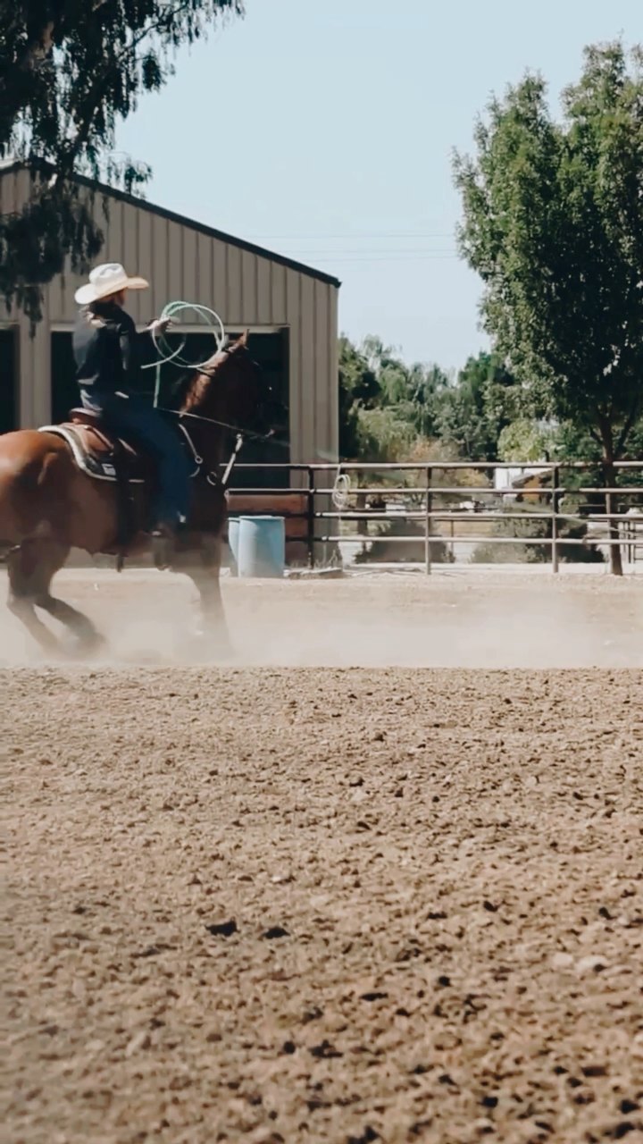 If you’re looking for some new Cowboy Boots, check out Resistol Boots!🙌 ...