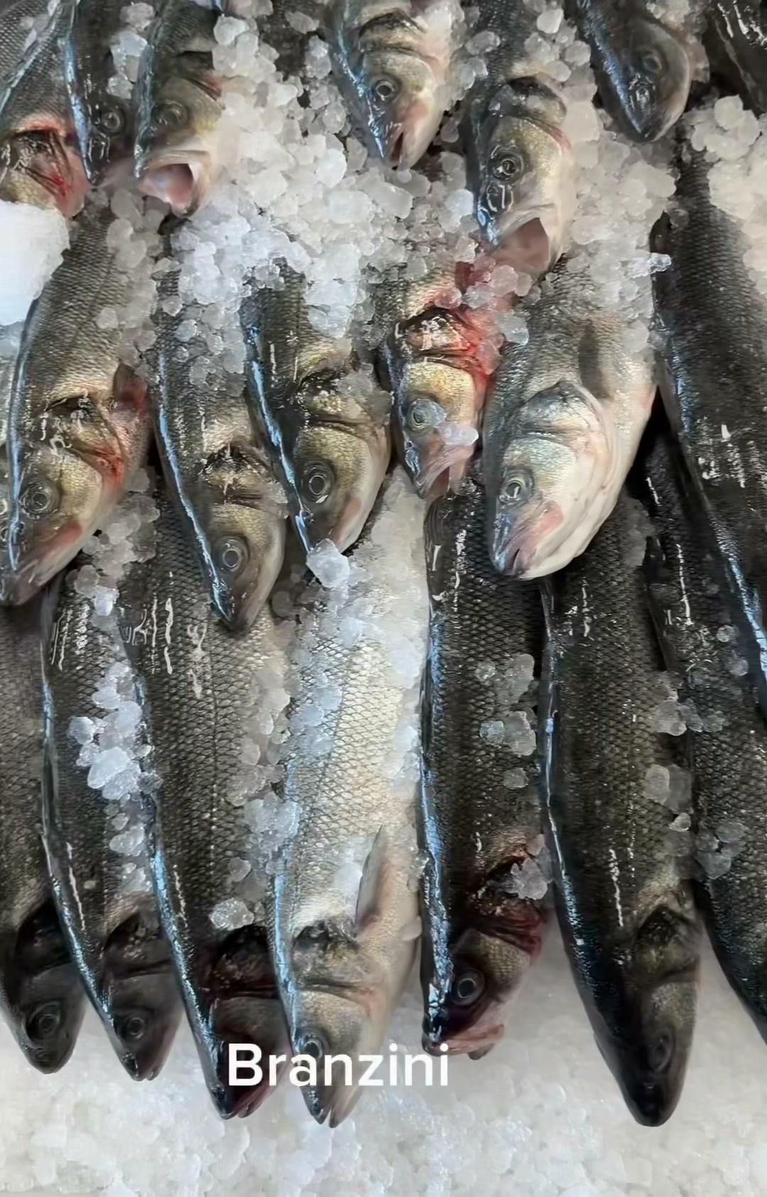 Shaker's Fish Market in Ohio
