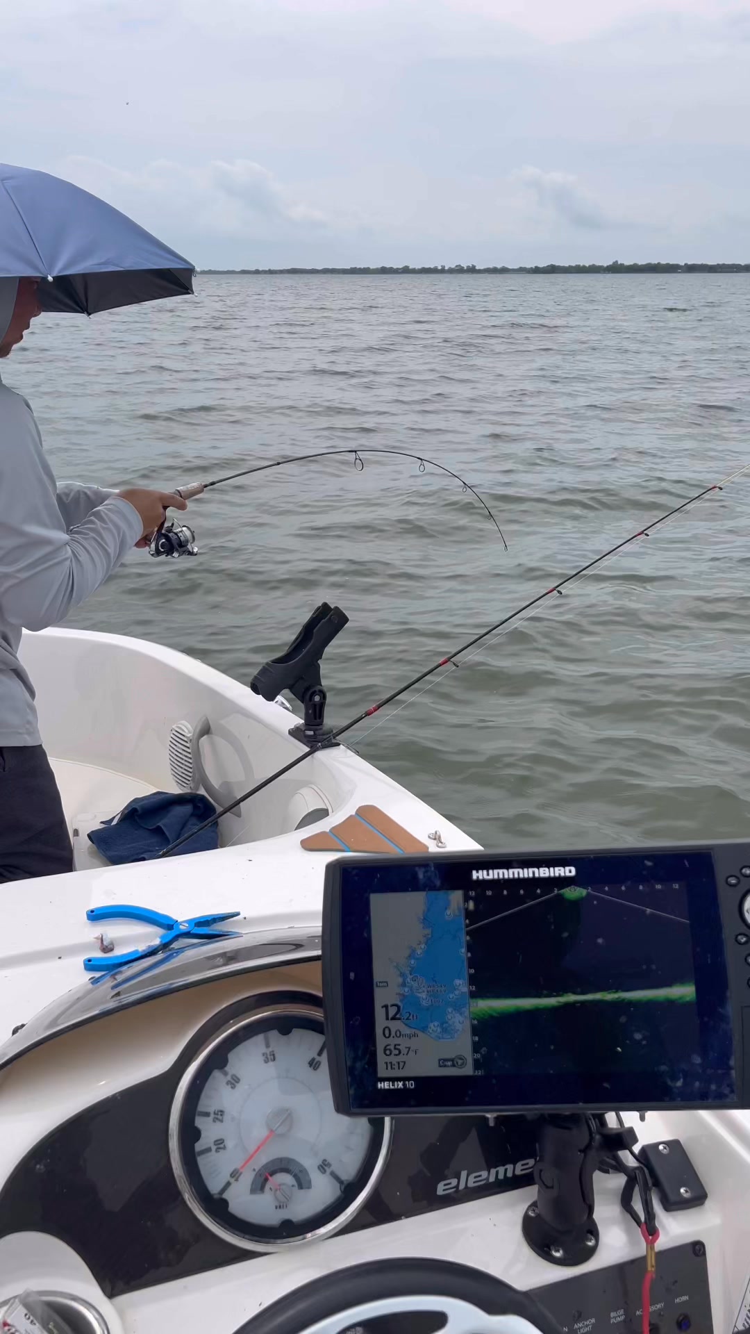 Had a blast catching these lively #fish! The thrill of reeling in both ...