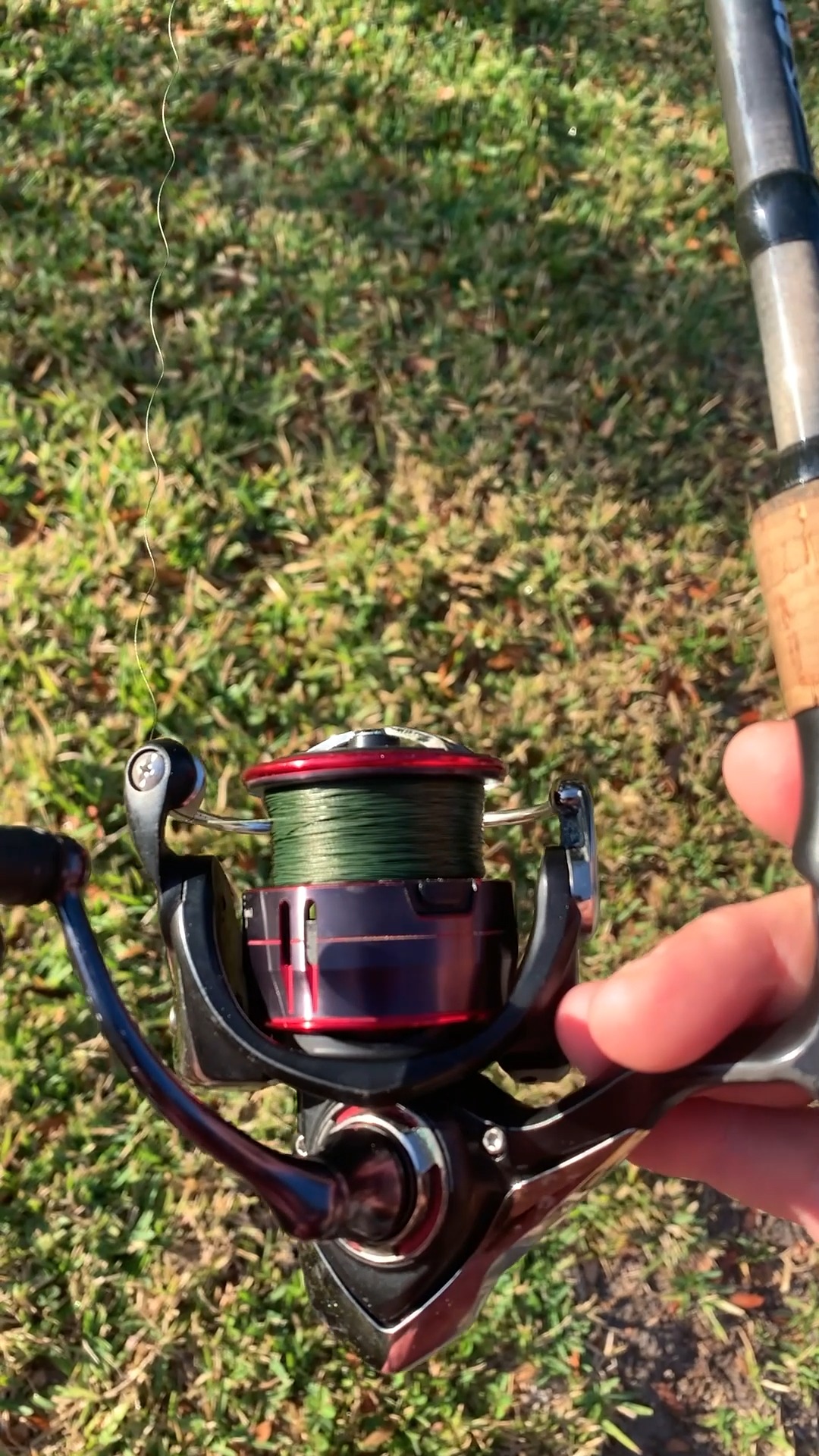 estimating yardage stringing a fishing reel Daiwa Regal LT Spinning  BOB SANDS TACKLE How To Tell Exactly How