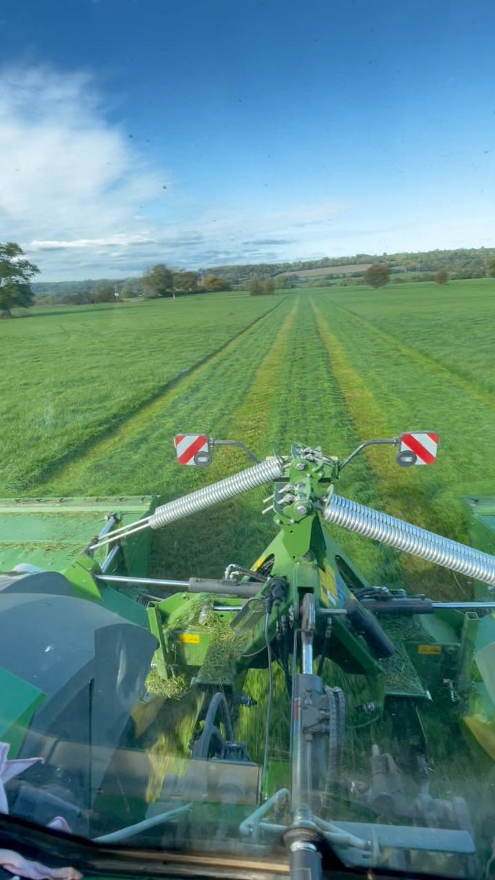 Out mowing a bit of 3rd cut silage today with the 828 and Krone triples ...