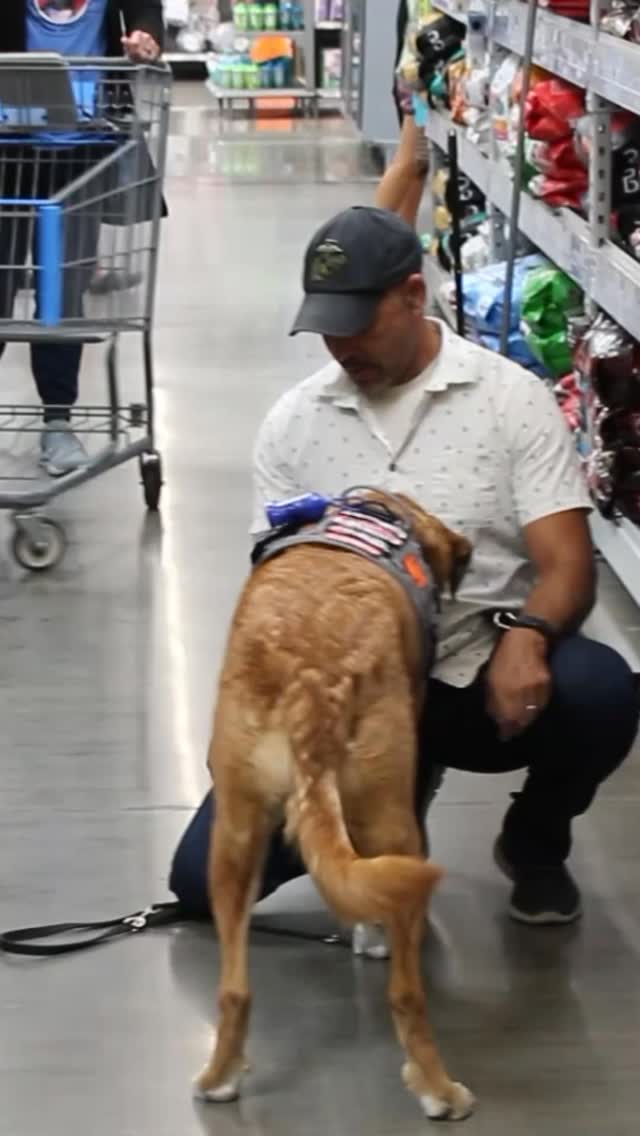 Not all heroes walk on two legs. 🐾 This Marine Corps veteran and his ...