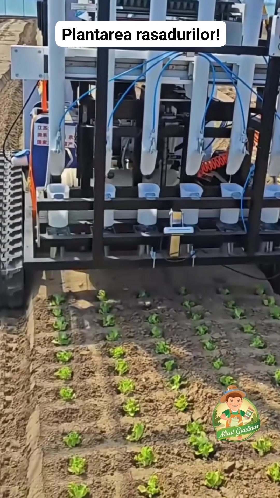 Uite aici masinarie de plantat rasaduri #gradina #gradinar #reels ...