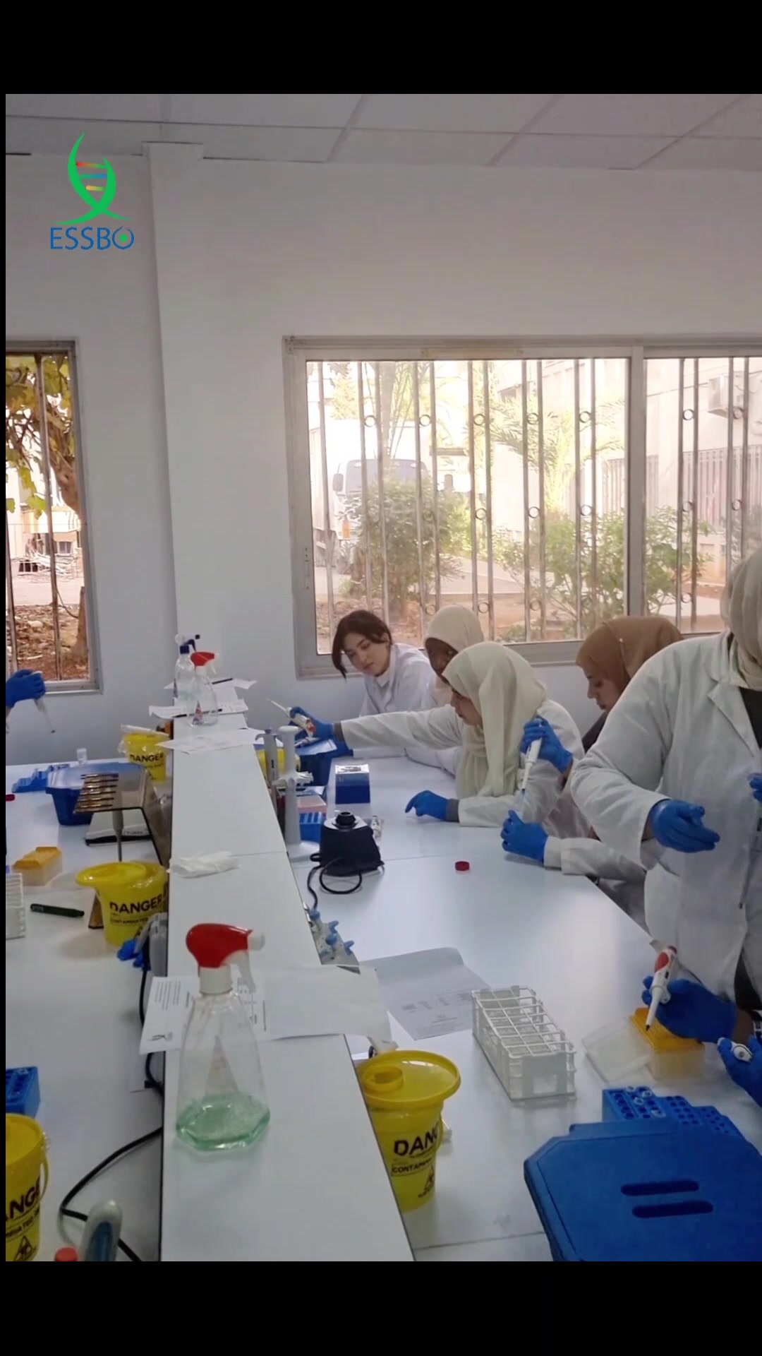 Molecular Biology Workshop: Agarose Gel Electrophoresis | Molecular ...