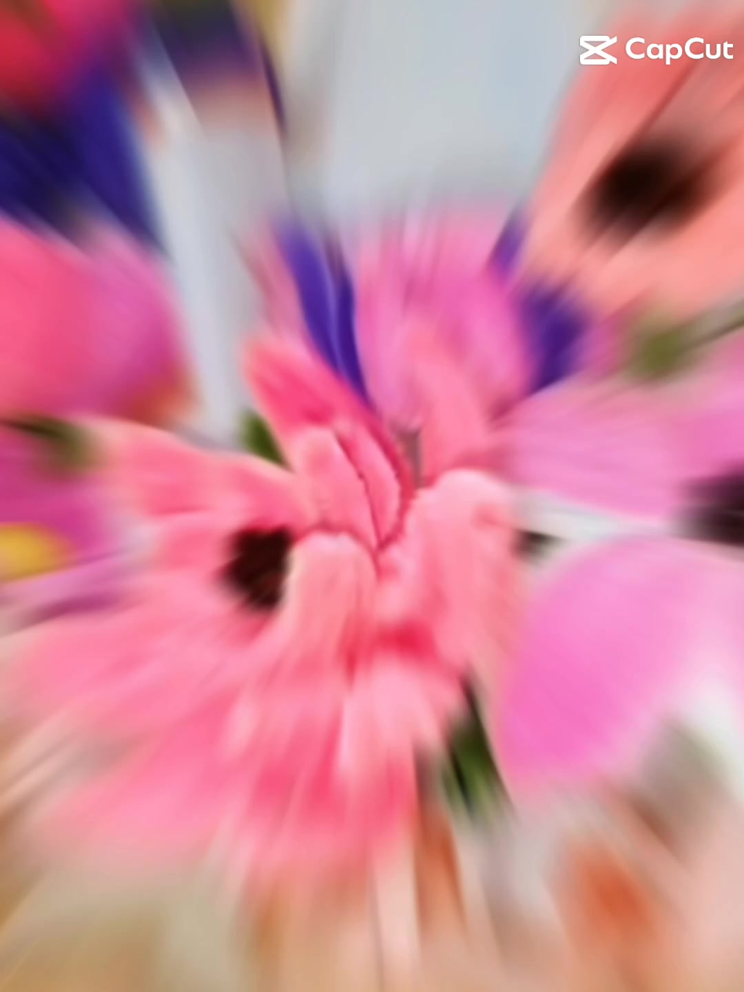 Bloom Wire