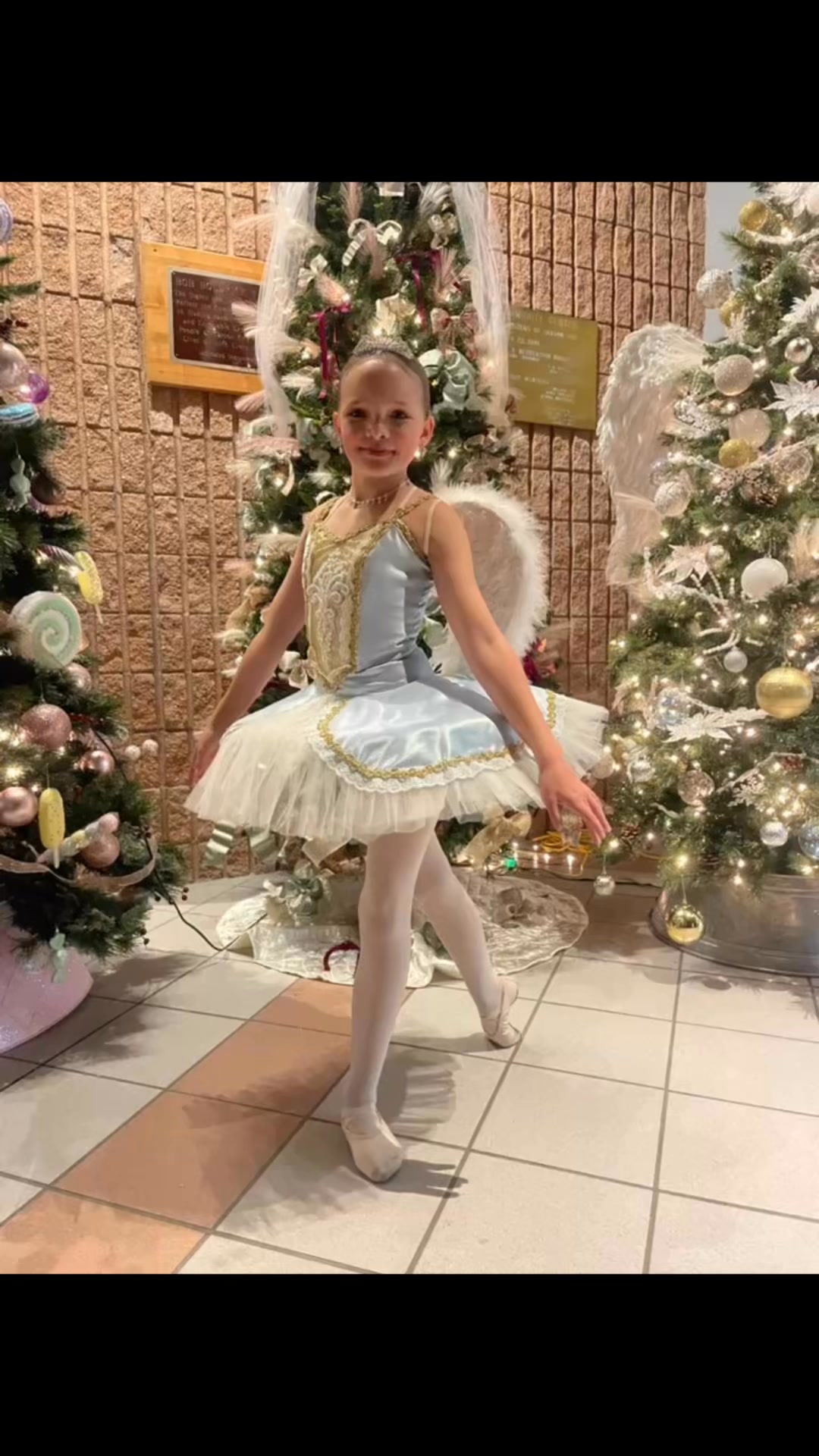 Nutcracker 2025! Has come and gone. Until next year. Journey loves ...