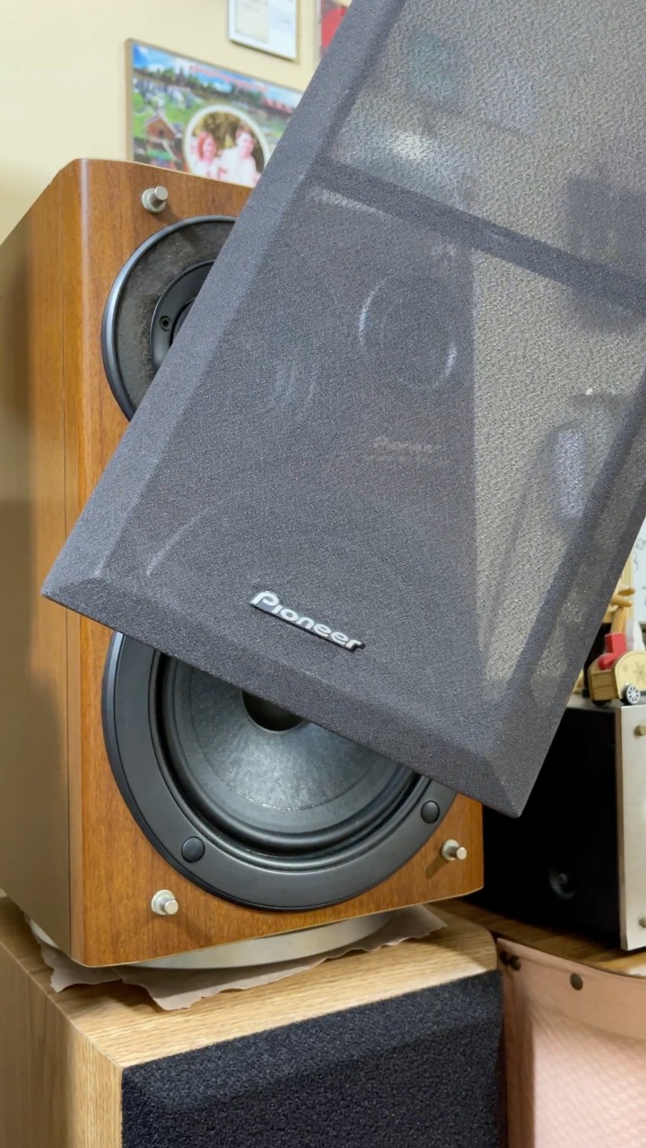 Pioneer S-X55 100w speaker