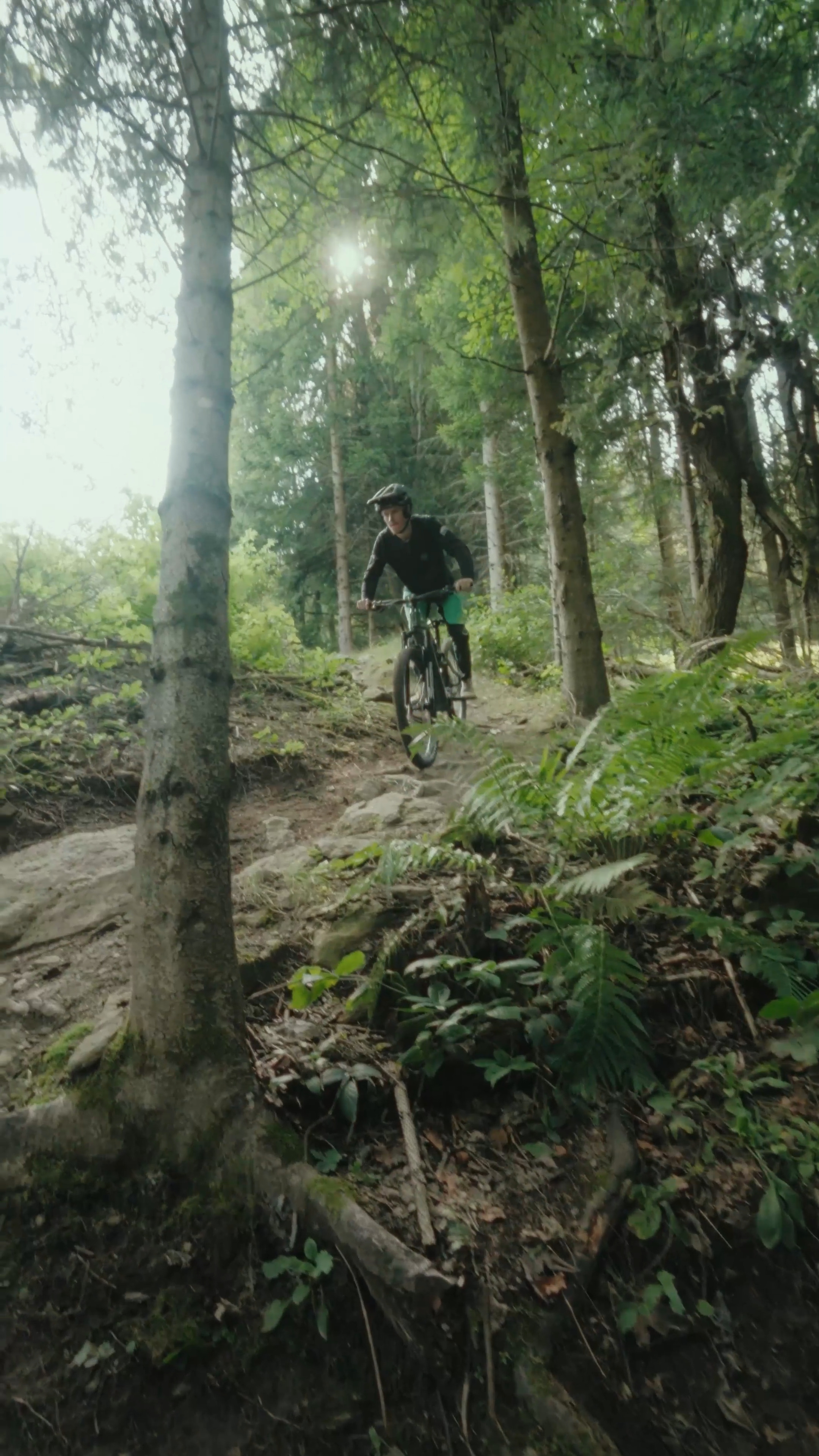 alternative zu puky fahrrad Youke 16 – MSZWEIRAD Bring the thunder and Pure Focus Scheinwerfer-Rücklicht + Diebstahlsicherung Option:Mit Scheinwerfer Rücklicht Kein Diebstahlschutzsystem