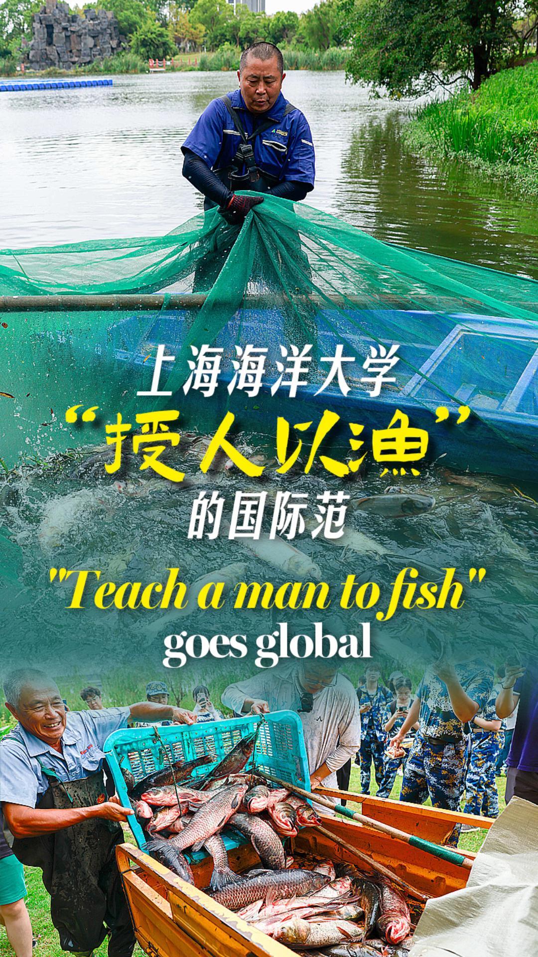 Autumn at Shanghai Ocean University means FISH-TIVAL time! Teachers and ...
