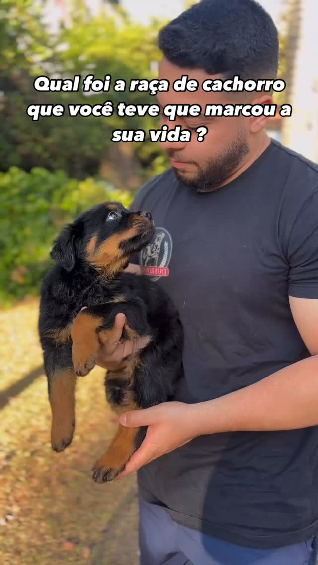 Desde o momento em que conheci o primeiro Rottweiler da minha vida ...