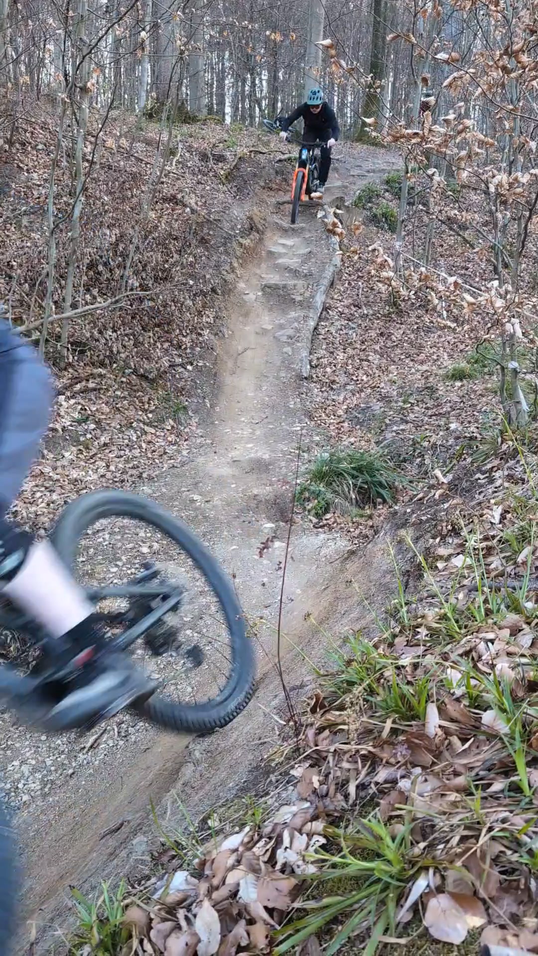 trekkingrad damen größe 28