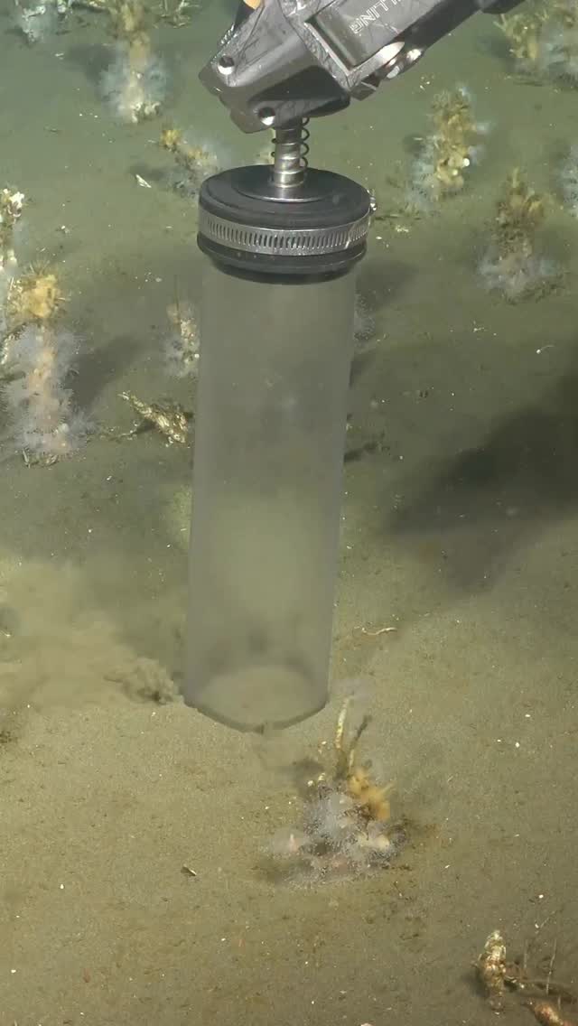 🧬 Speeding up the search 🧬 Dr. Brett Baker, from @texasscience, and an ...