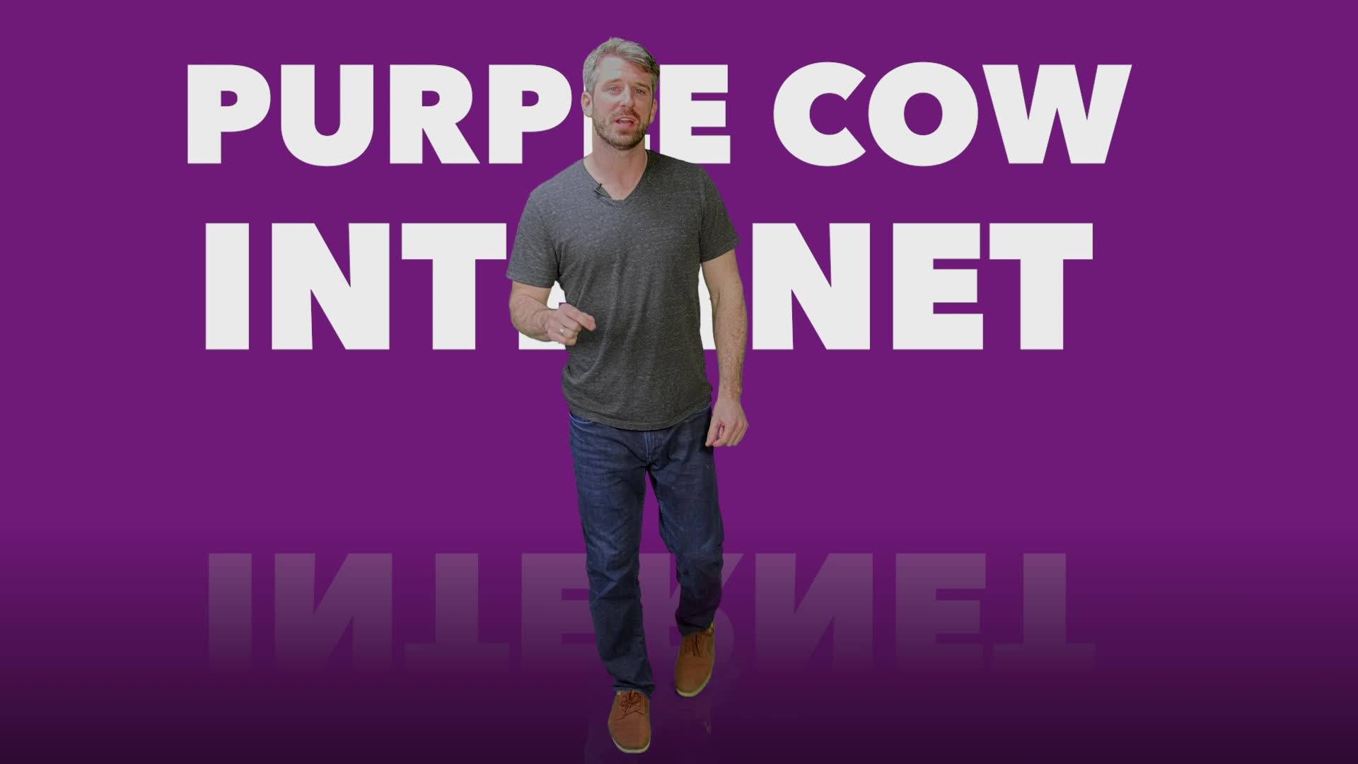 Purple Cow Internet - Home