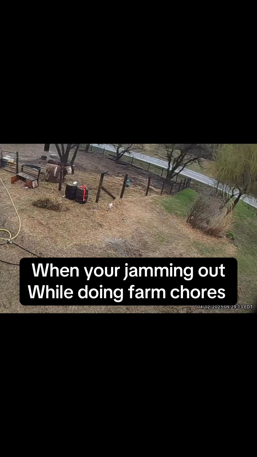 Howdy! Jam out sesh to farm chores😂 yeaaaa Cowboy 🤠 #funny #funnyfarm # ...