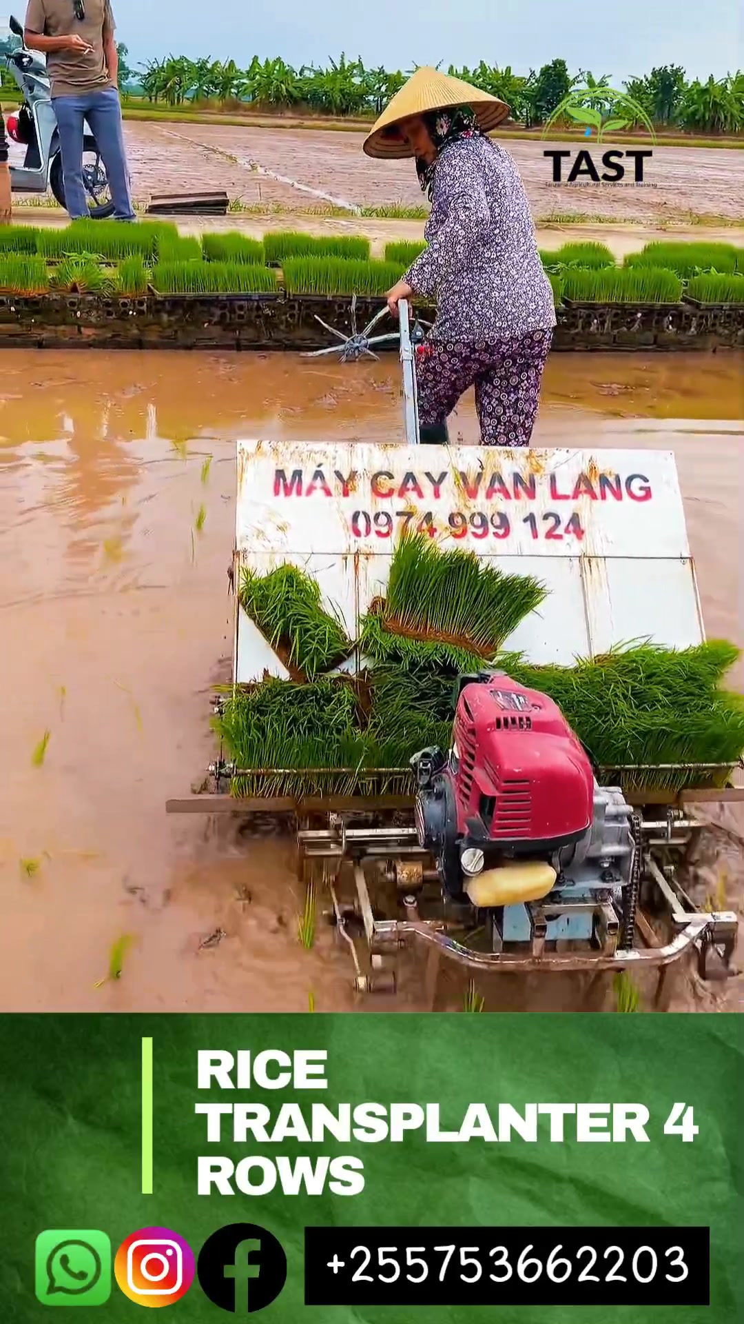 Mashine ya kisasa ya kupanda Mpunga/Rice transplanter machine 4rows ...