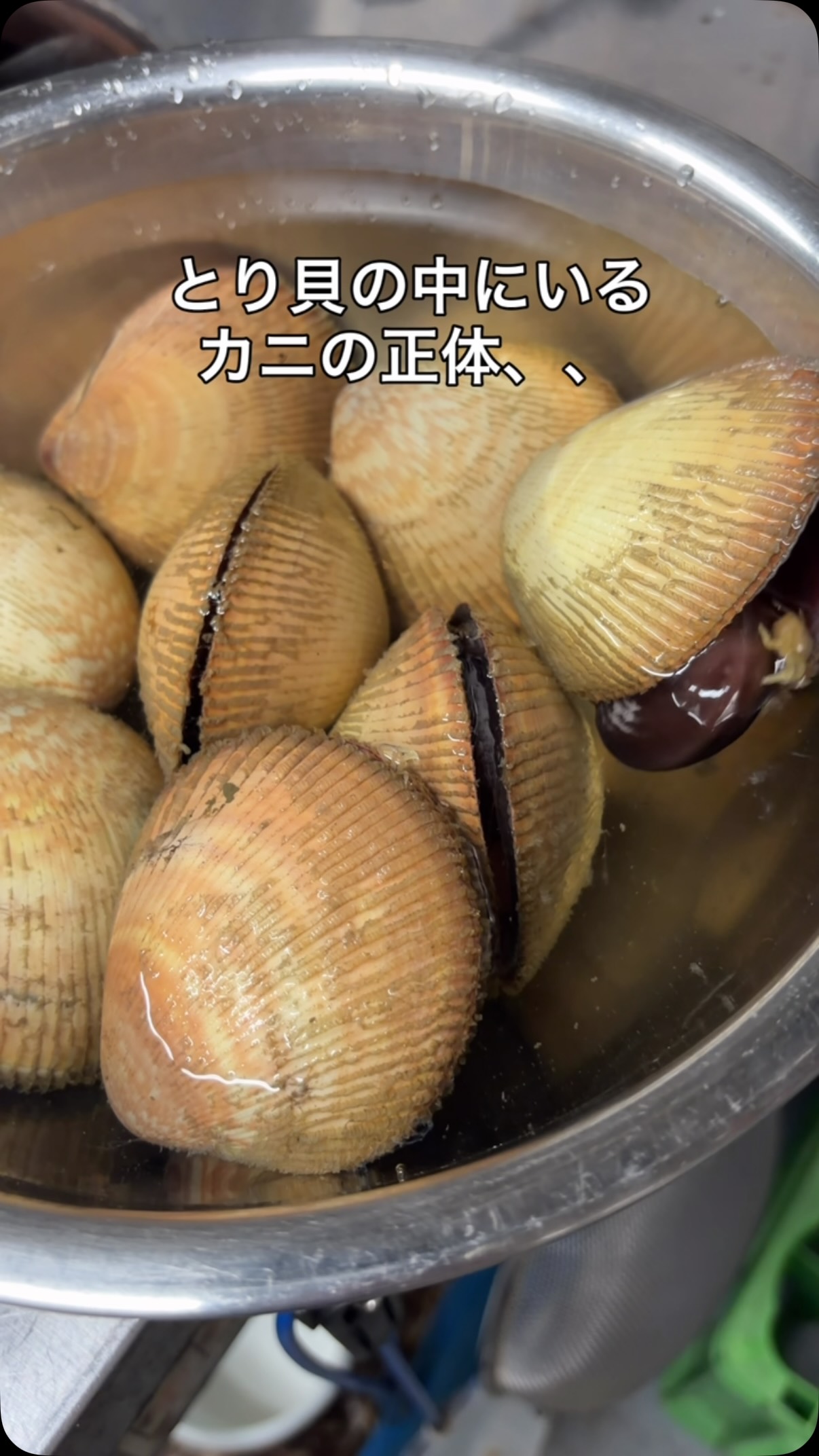 公の場での発言・インタビュー報道記録