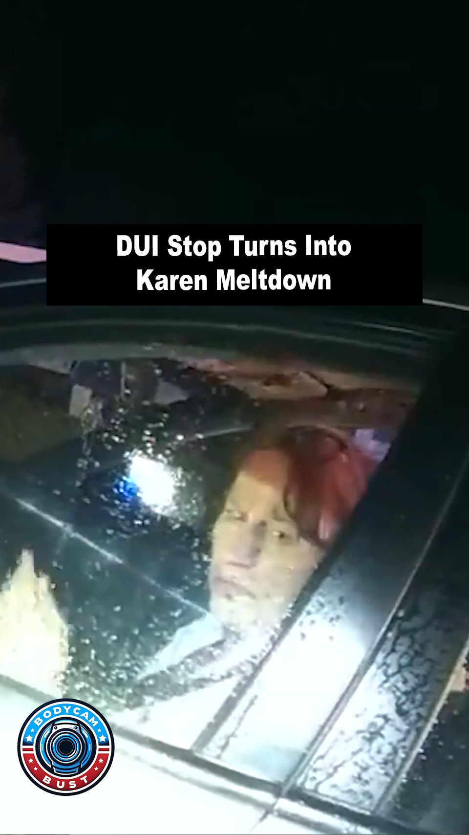 DUI Stop Turns Into Karen Meltdown🍸🛑 Donna’s DUI stop in Wisconsin went ...