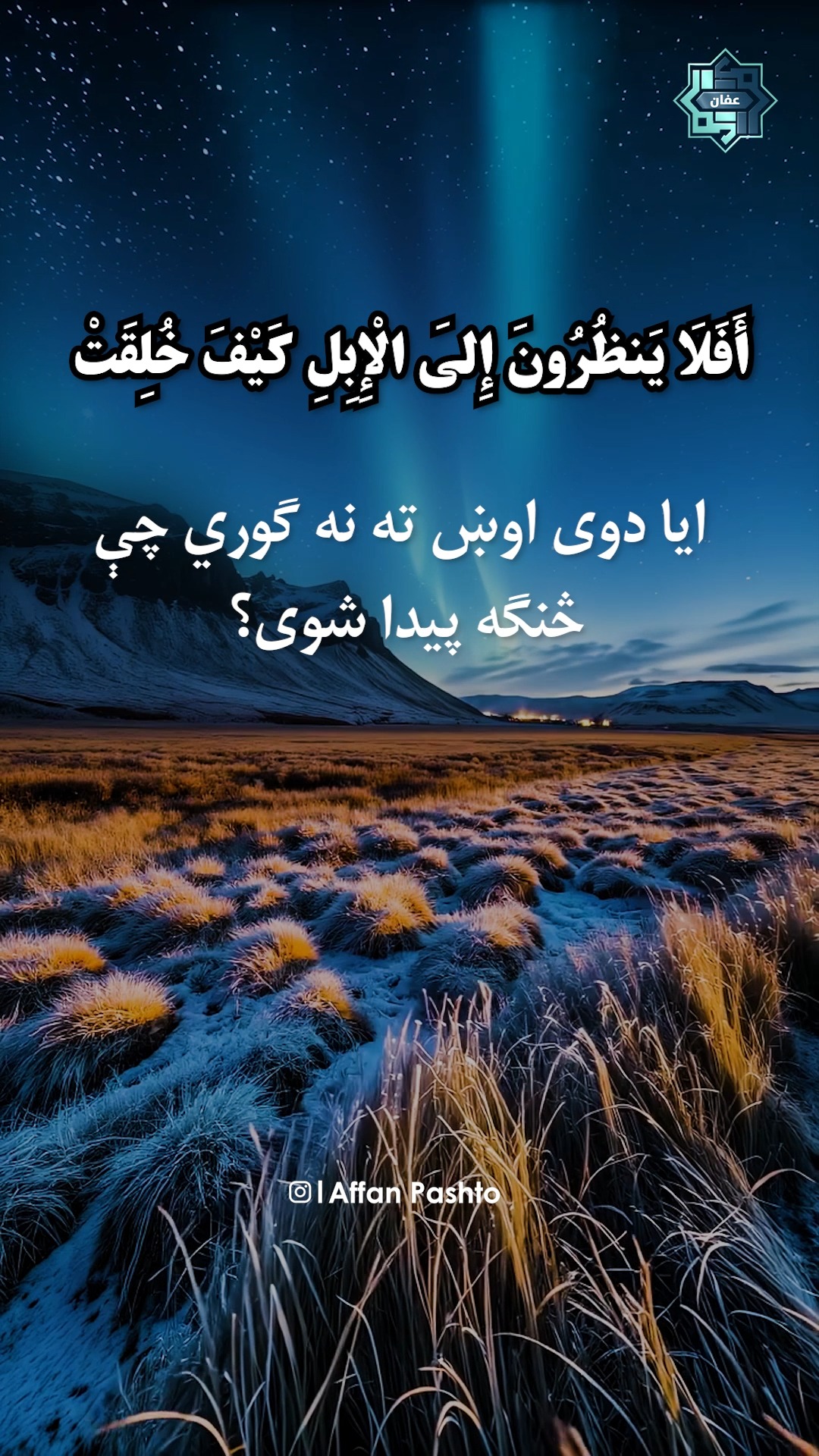 🥹 ️☝🏻🥰دغه آیت سورت د قیامت ورځ، د خلکو برخلیک، د نیکو لپاره جنت او د ...
