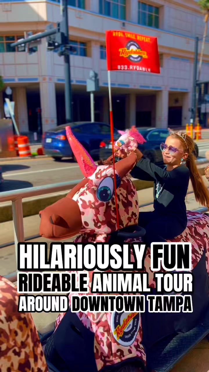 🦄The funnest & DEFINITELY SILLIEST way to take a tour around Tampa!🥳 I ...