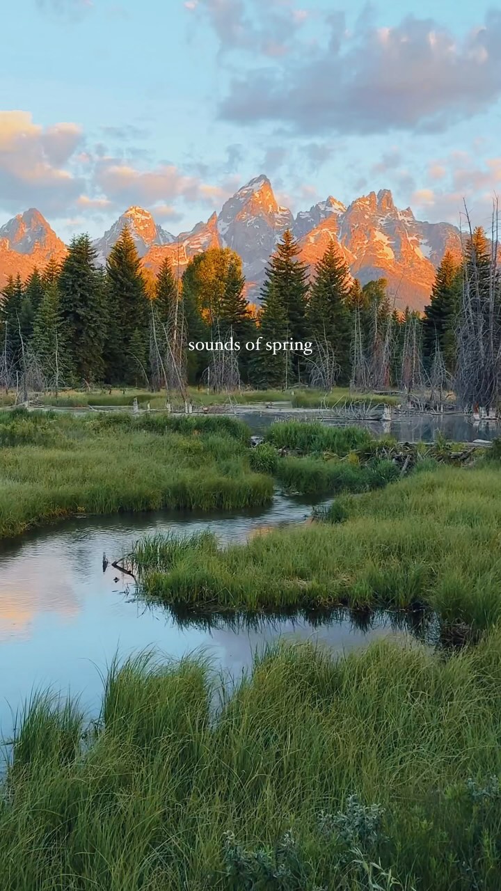 happy first day of spring!!🌸🌧️🍃 #naturetherapy #hiking #springtime # ...
