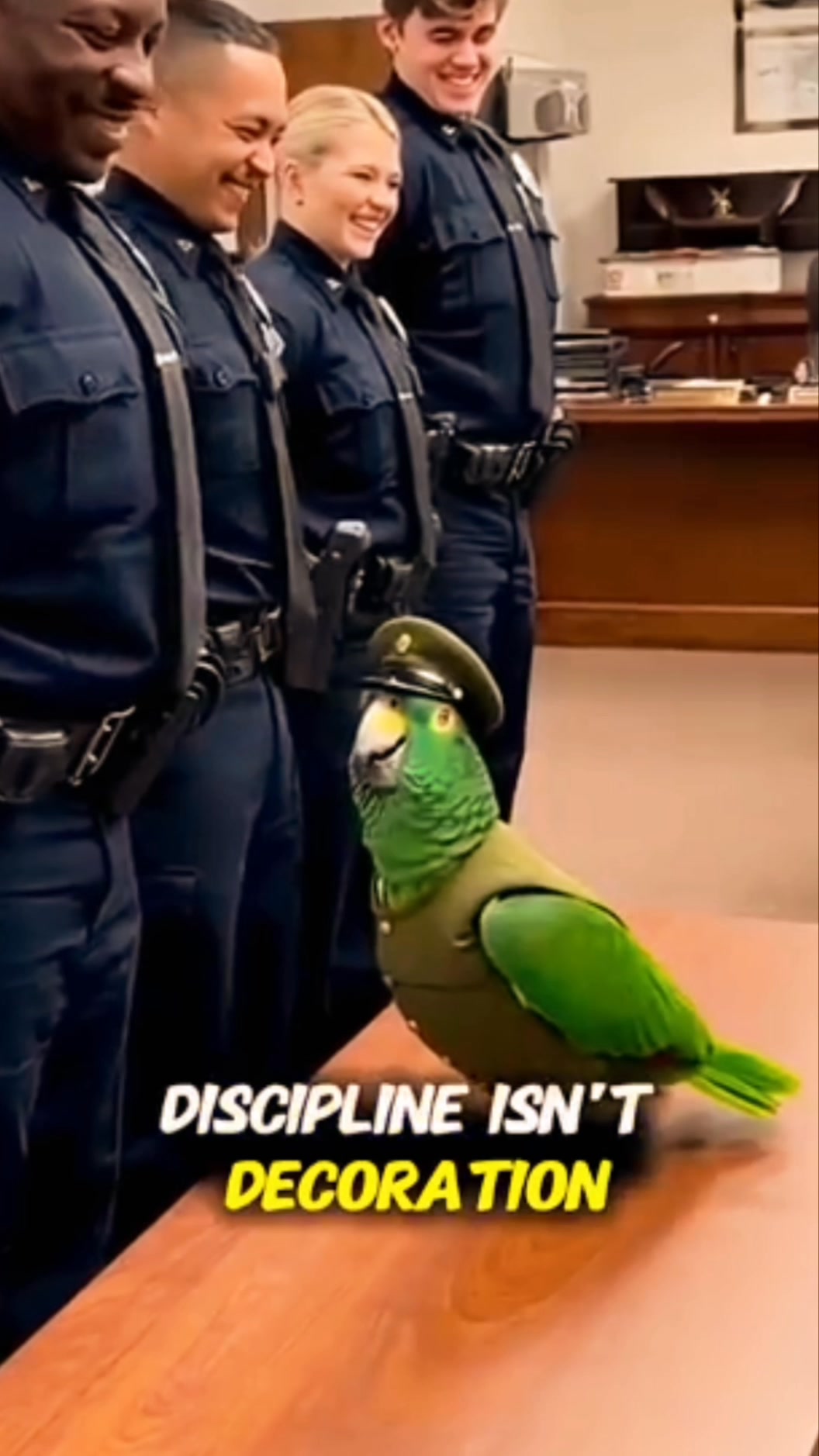 Coolest Tools01