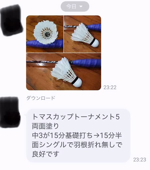バドミントンミントン ミントンの壁 値段 2026年最新 mintonの壁の人気