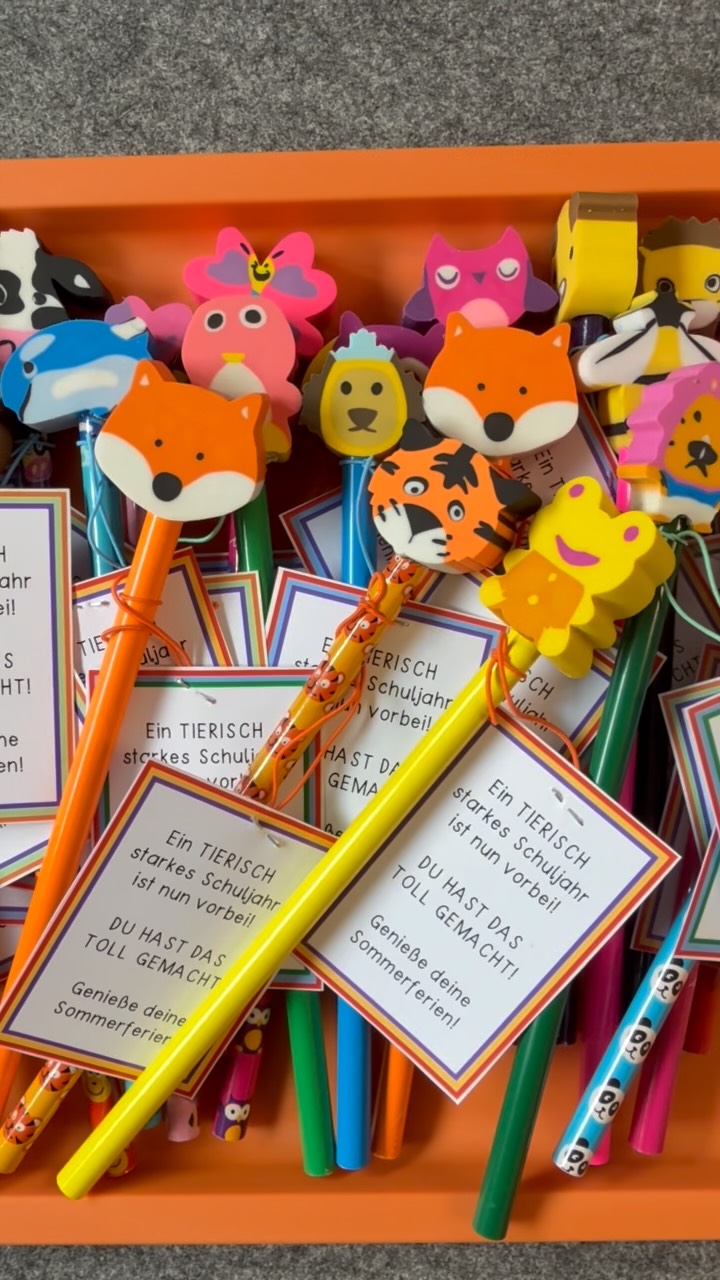 Hallo ihr Lieben, ich habe neulich bei TEDI diese Bleistifte mit tierischen Radiergummifiguren für 5€ entdeckt und direkt ein kleines Abschlussgeschenk für die Kinder daraus gemacht., Es gäbe auch