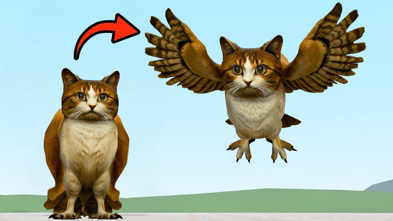 I Found Meowl From Roblox Steal A Brainrot In Garry's Mod #brainrot # ...