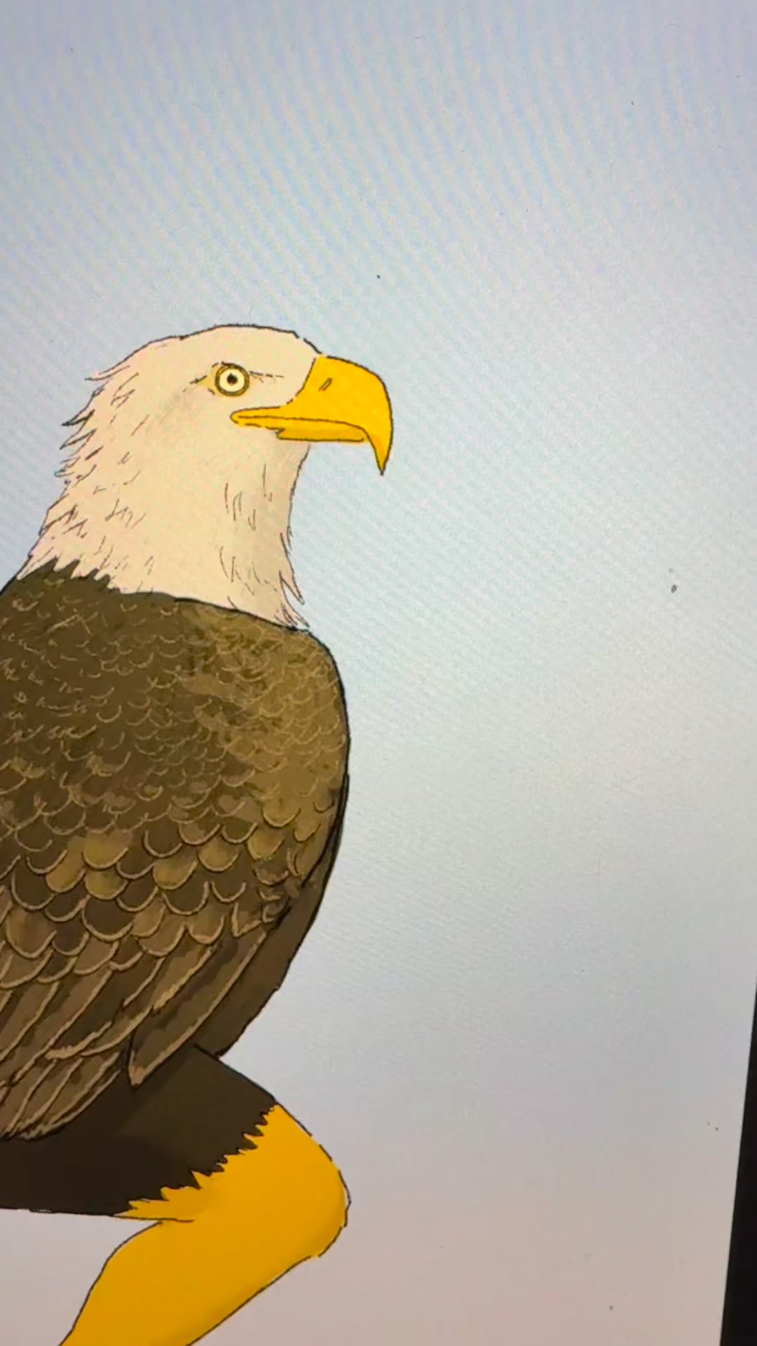 The 2026 edition of my Extremely Accurate Birds calendar features