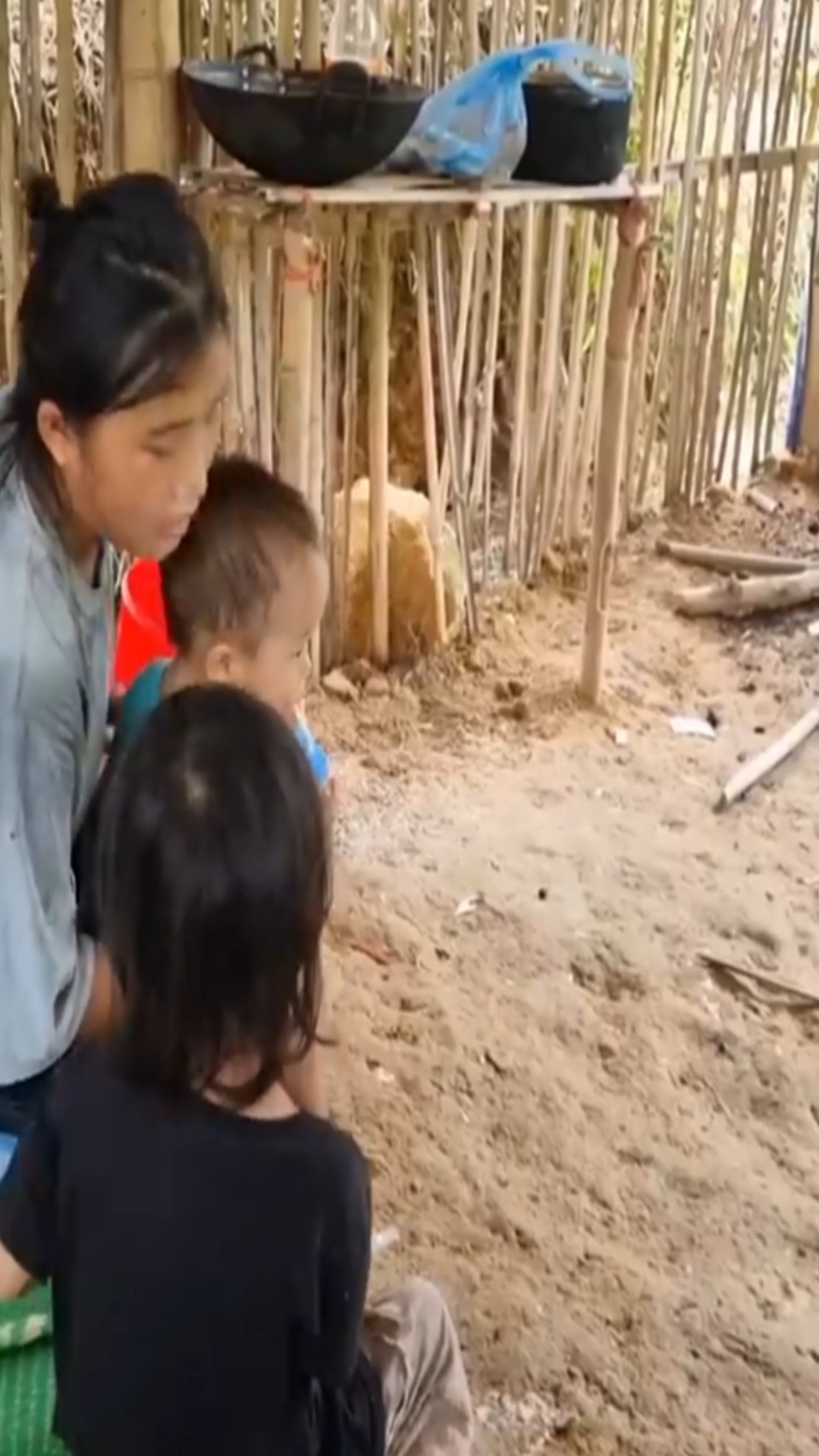 The Children Bring the Two Siblings into the Forrest to pick wild ...