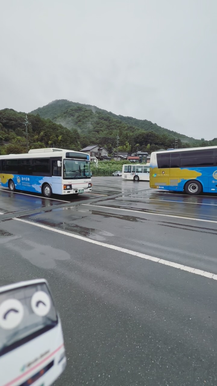 ㊗️ついに発売🎉】 「海の京都×丹波漆デザインバス」🚌ミニカー 2015