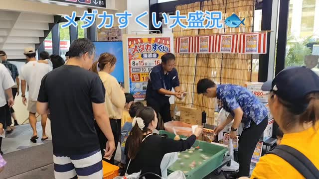 さくもとバイヤーのオススメ情報