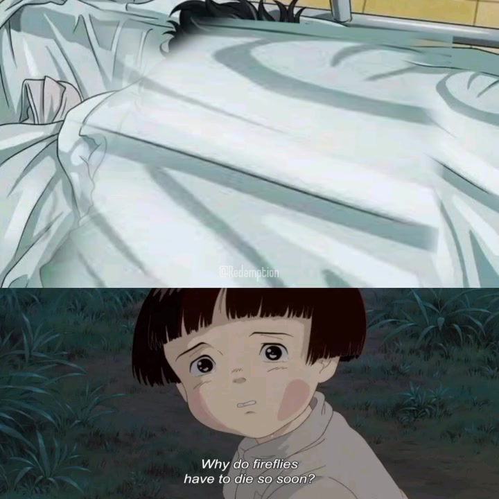 Totoro | Ghibli Community