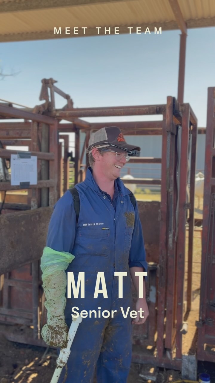 Meet Dr Matt Boon 👨‍⚕️☕ This... - Gener8 Reproduction | Facebook