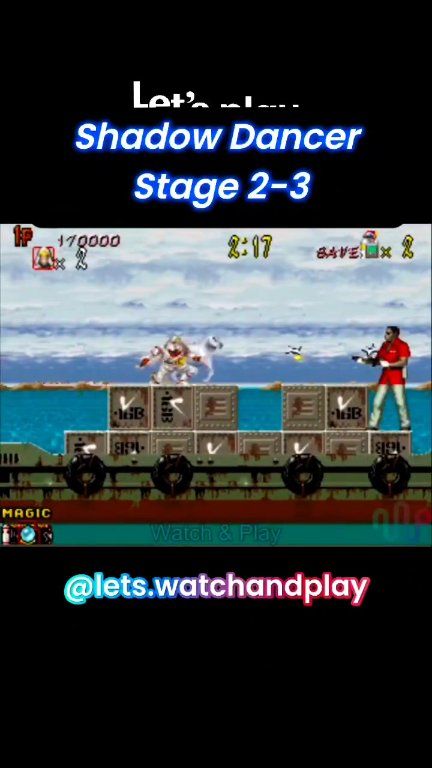 Shadow Dancer | Stage 2-3 Shadow Dancer is a 1989 platform game