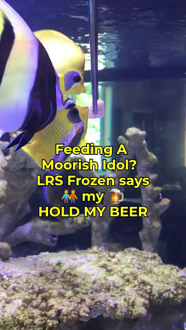 LRS has made it all the way to Lebanon, Beirut to feed Raed's FOWLR ...