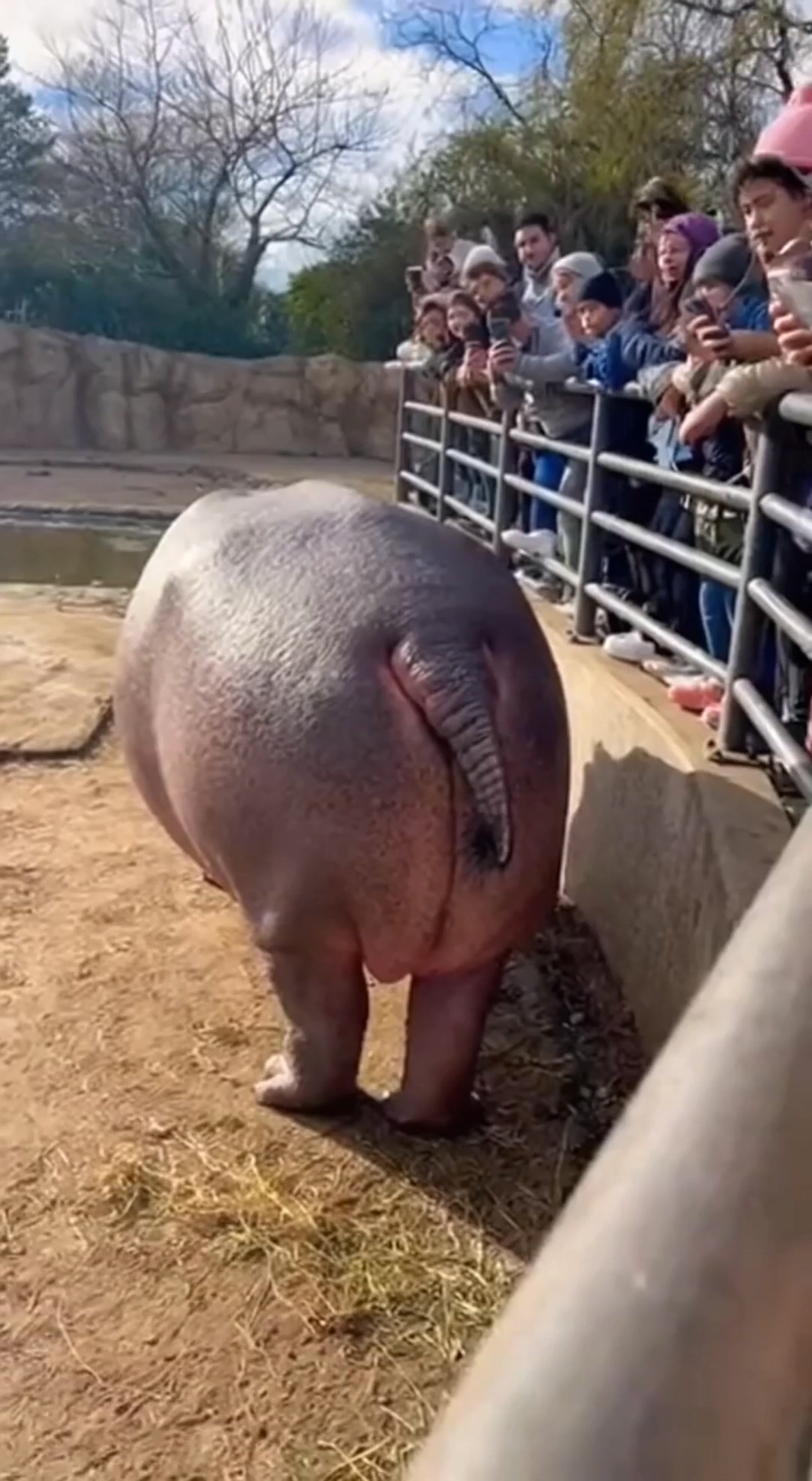 Nobody warned us about this part of the zoo experience 💀💨 Lesson ...