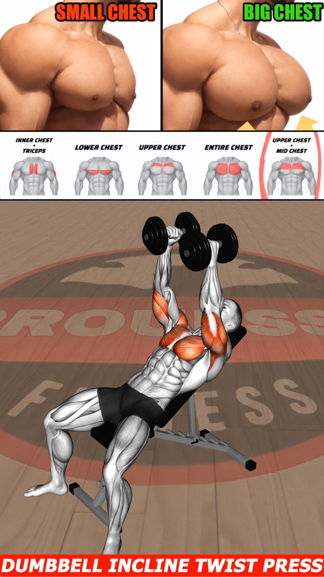 Target Your Pectoral Muscles with These Powerful Chest Exercises for ...
