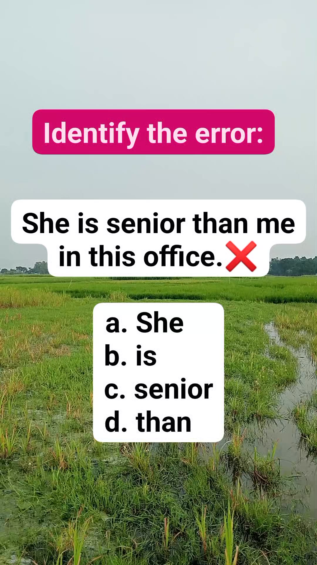 Identify the error 👍#grammar #englishlearning #English #reelsenglish # ...
