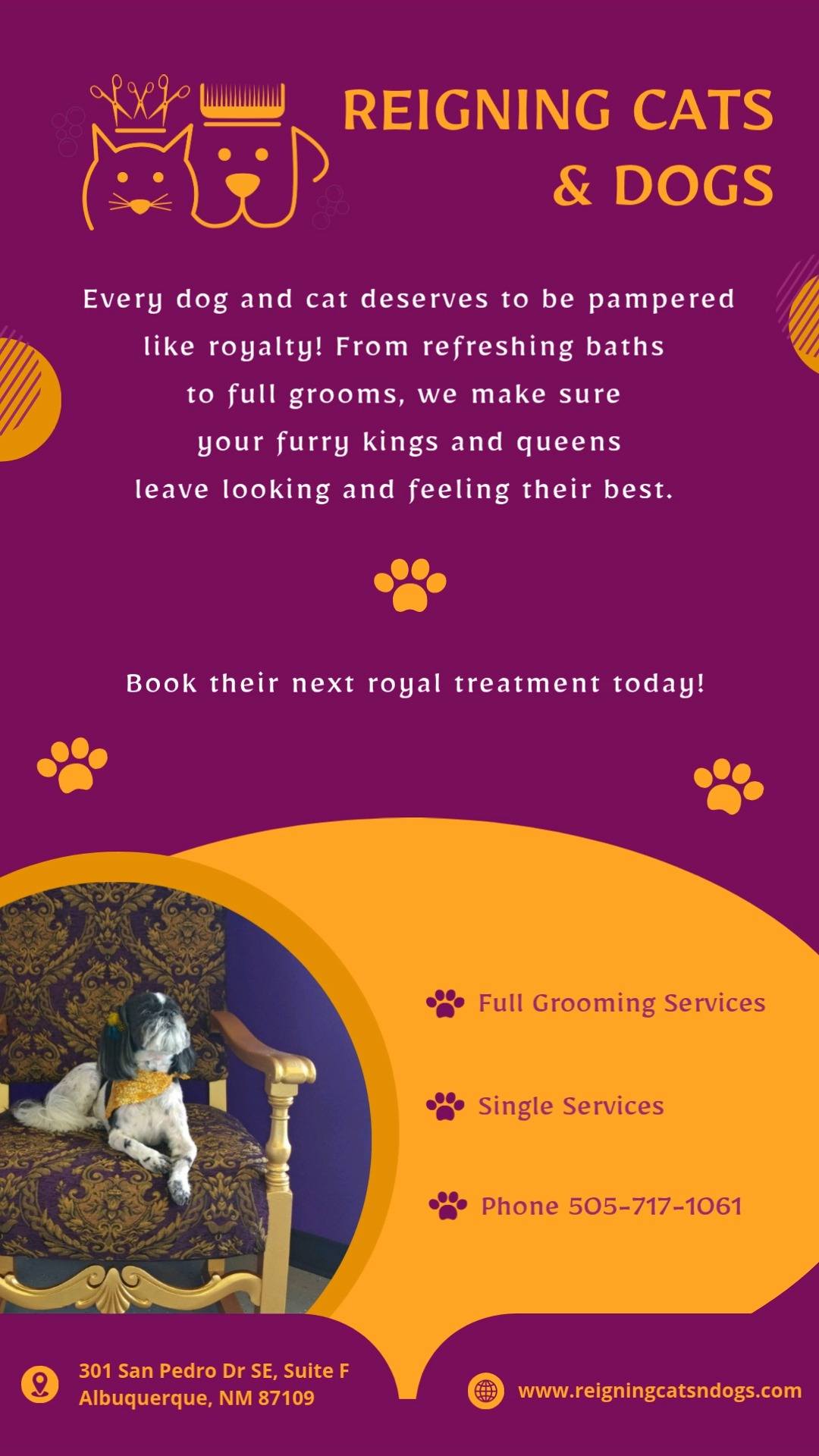 Reigning Cats and Dogs | Albuquerque NM