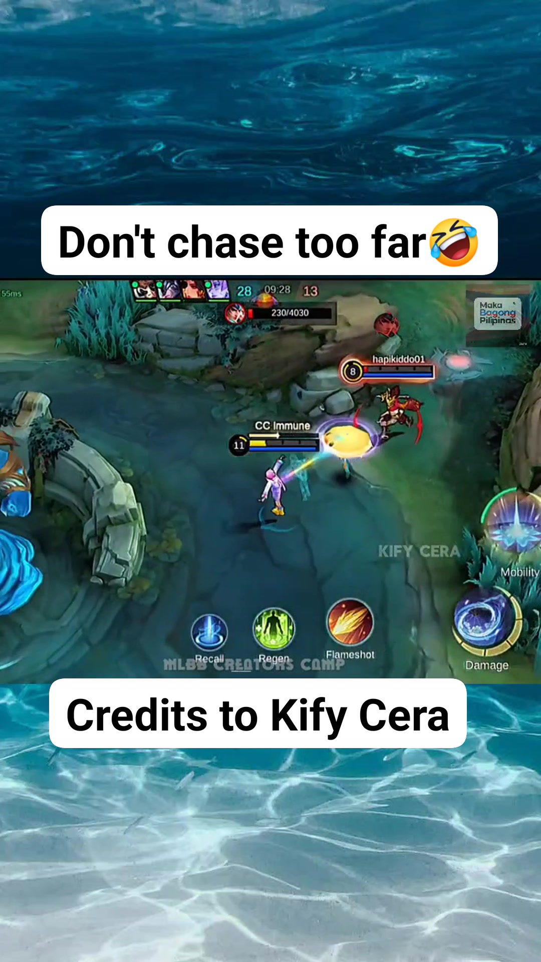 Don't chase too far Zilong No copyright infringement is intended. I do ...