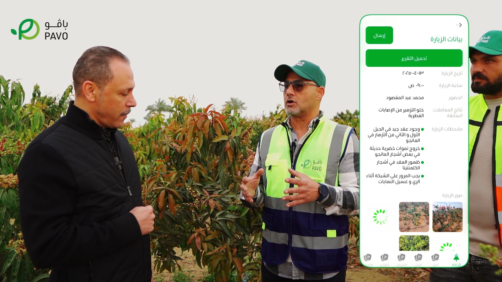 باڤوفارم - PAVO Farm | Ismailia