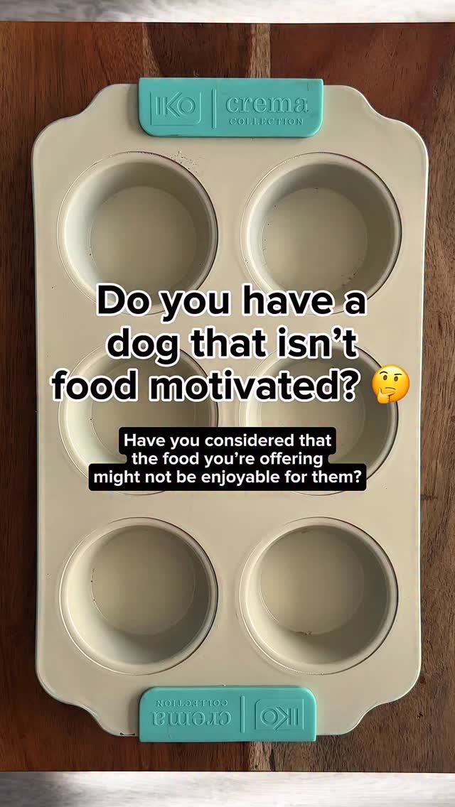 if you’ve never tried a food preference test with your dog, you ...