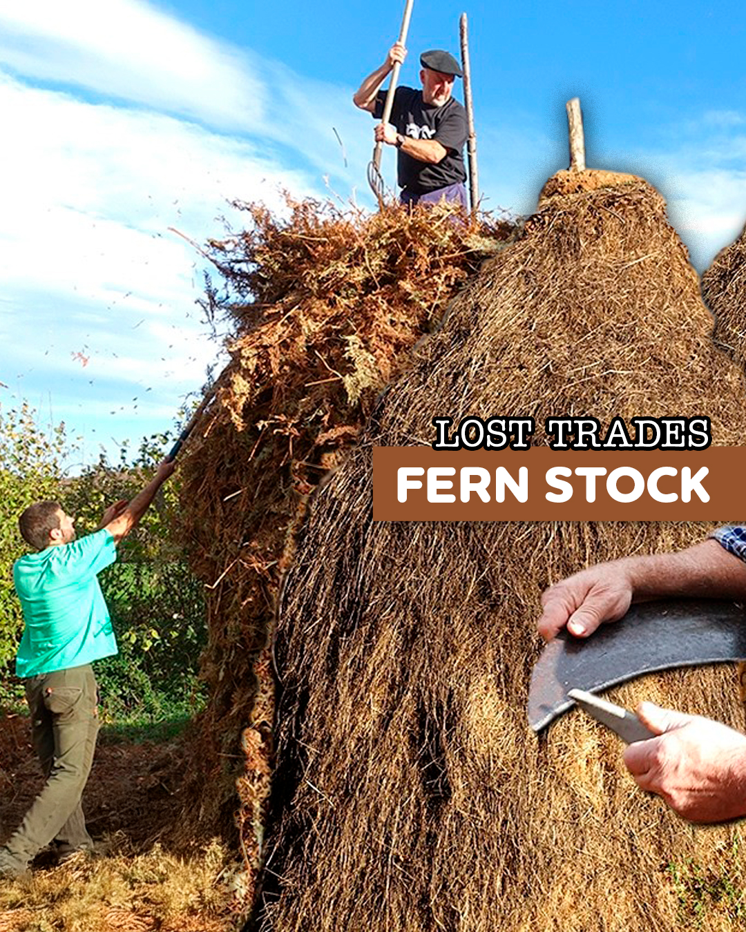 A Haystack To Face The Winter #documentaries #documentary #fblifestyle ...