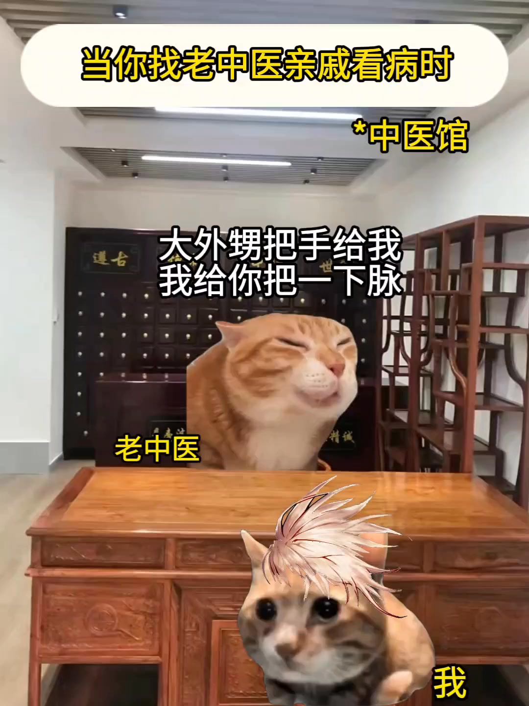 当你找老中医亲戚看病时 #猫meme #搞笑 #内容过于真实 #老中医 #万万没想到 | 体育生cheems | Facebook