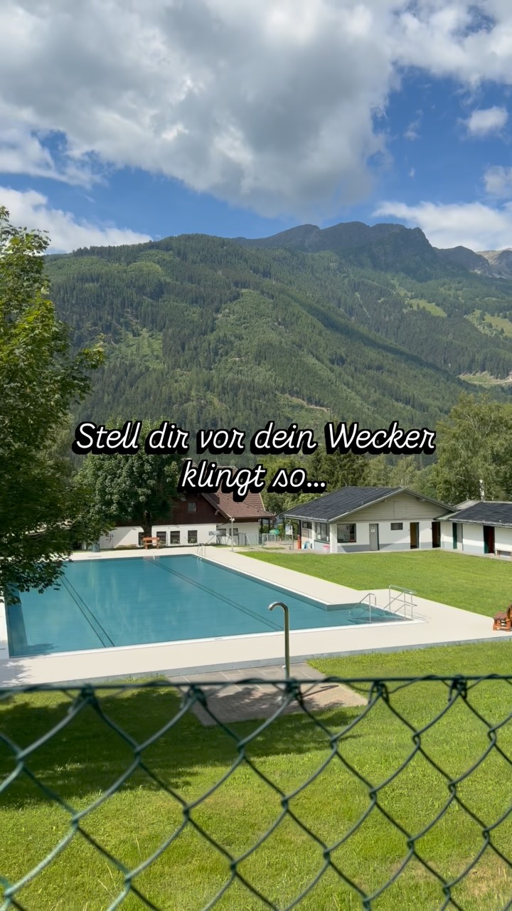 familienzelt 6 personen 5000 mm wassersäule Skandika Tunnelzelt Hafslo 4 Sleeper Protect | Zelt für Camping, 4 Personen, wasserdicht, eingenähter Zeltboden, mit Wassersäule, Vorzelt und dunkler Schlafkabine Farbe:PEACOAT Clutch Kit Bücherregal Bibliothek - 170x25x186cm