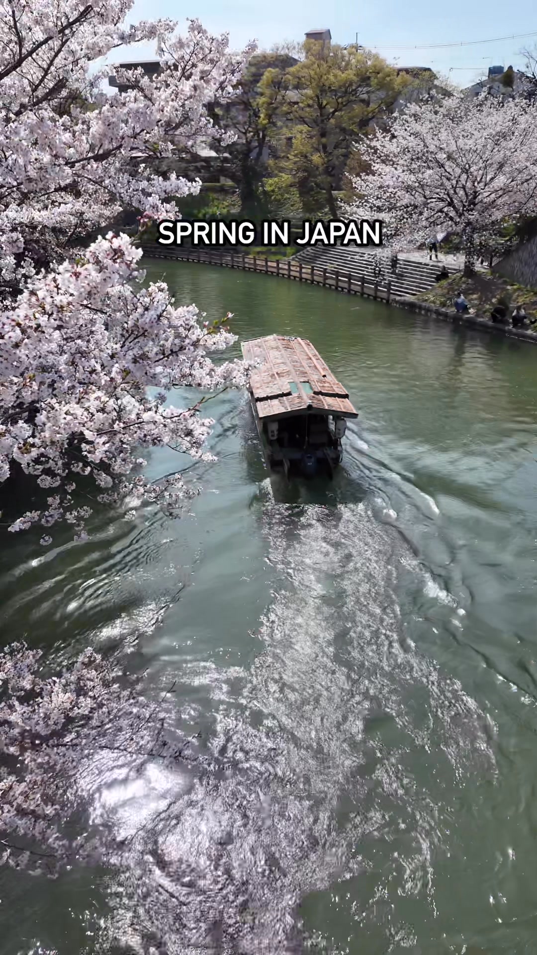 Spring in Japan 🇯🇵 ️🌸 #kyoto #kyotojapan #japan #japantravel #osaka # ...