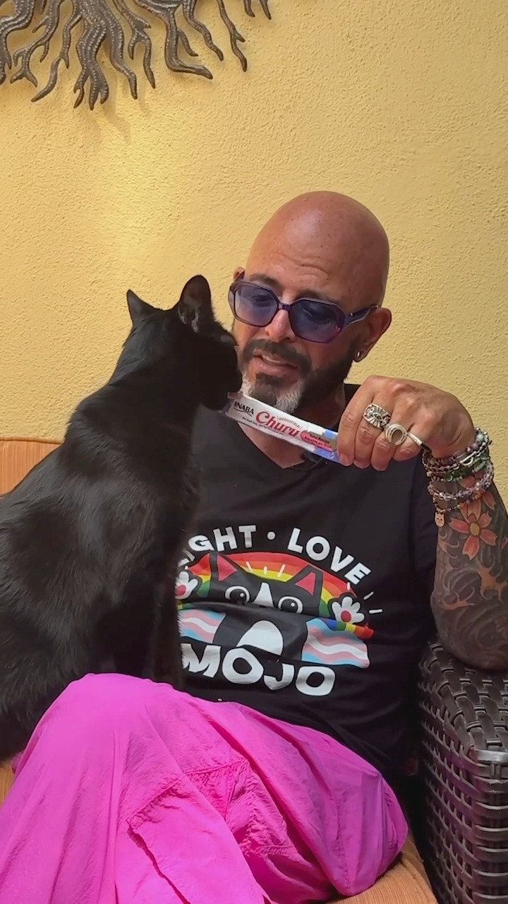 Keeping your cat hydrated starts with fresh water, fountains, and wet ...